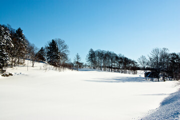 北海道の森と農地の雪景色