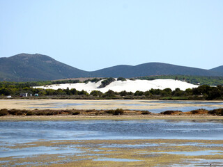 Sardinia eduta of the pond of Porto Pino, in the background the dunes of the nearby beach.