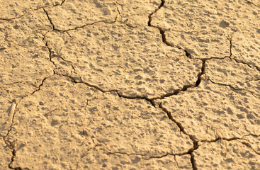 Drought and climate change. Dry soil texture on the ground
