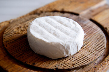 Premium organic goat cheese  on a rustic wooden cheese maker.