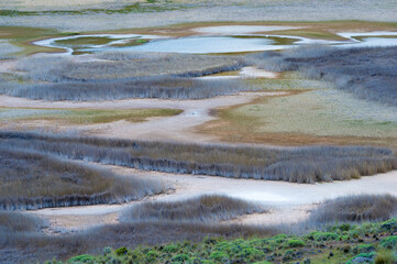 Laguna with marsh grass, Patagonia National Park, Chacabuco valley near Cochrane, Aysen Region,...