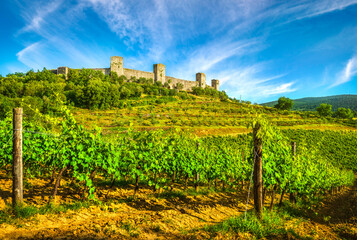 Fototapeta na wymiar Monteriggioni medieval fortified village and vineyards, Siena, Tuscany. Italy