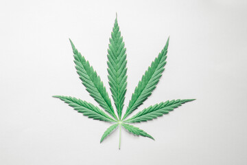 Hanf oder Cannabis Blatt auf weißem Hintergrund für Template oder Mock up von oben