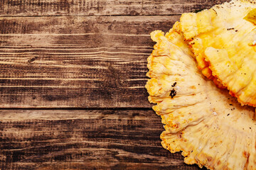 Laetiporus sulphureus, wild forest mushroom