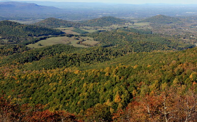 Fototapeta premium Early fall colors in Shenandoah National Park, Virginia