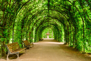 Picturesque alley and the green tunnel in l'orangerie park - city Park in Strasbourg, France