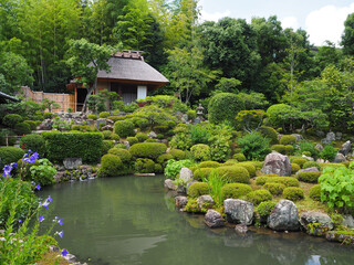 Naklejka premium 京都 等持院 芙蓉池