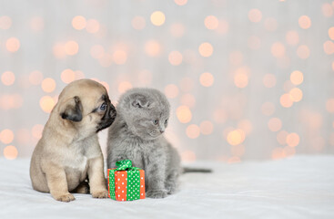 Pug puppy and baby kitten sit together with festive background with gift box and look away on empty space