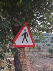traffic sign beware there are pedestrians in a tree nailed with leaves above and a field background and a gleaming sunlight with nice green tree. Archidona, Málaga, Andalusia, Spain. 10/07/2020.
