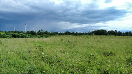 Fototapeta na wymiar Landscape for a field with wild grass and gray sky.