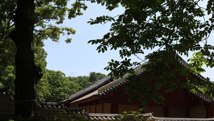 traditional chinese house