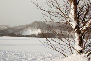 雪原になった冬の牧場