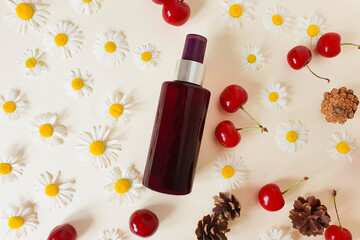 Summer flower composition with bottle for branding. Top view of dark brown spray bottle mock-up, camomiles, cherry berries and fir cones on ivory background. Natural organic spa cosmetics concept.