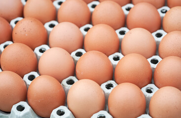 Close-up of chicken eggs in a pack.