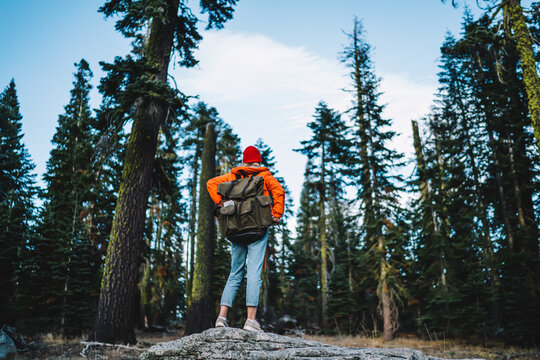 Back View Of Hipster Girl With Rucksack Exploring National Park During Hiking Tour On Weekends, Young Female Traveler Enjoying Wanderlust Trip While Getting To Destination In Green Tree Forest