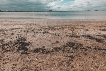 plowed field in spring
