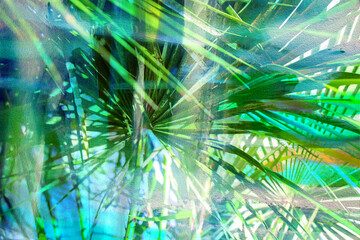 Abstract Structured Background with Palm Leaves. Photocollage.