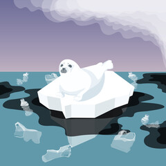 Melting Iceberg And Fur Seal
