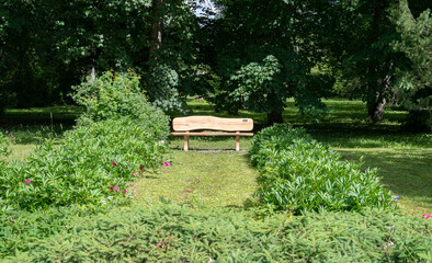 bench in the garden