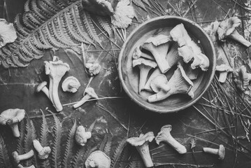 Chanterelles on the table top view, black and white mushrooms, vegan food,