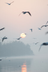 A beautiful morning at Yamuna ghat at Delhi