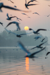 A beautiful morning at Yamuna ghat at Delhi