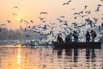 A beautiful morning at Yamuna ghat at Delhi