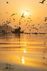 A beautiful morning at Yamuna ghat at Delhi