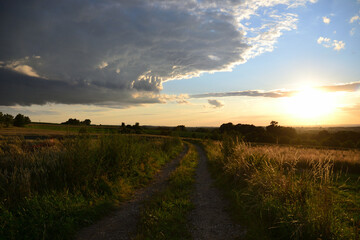 Fototapeta premium sunset over the field