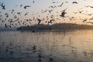 A beautiful morning at Yamuna ghat at Delhi