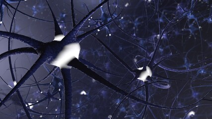 3D render illustration of neurons 