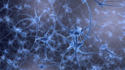 3D render illustration of neurons 