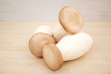 King oyster mushroom on white background