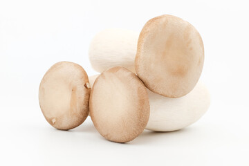 King oyster mushroom on white background