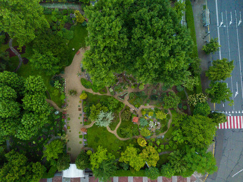 botanik garden from drone, aereal view