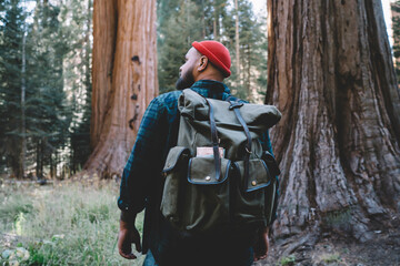 Back view of hipster guy wanderlust spending active weekends exploring nature of Sequoia national...