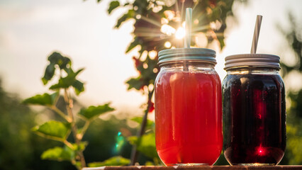 Two Natural Berry Drink Amid Red Currant Bush