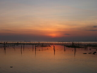 Plots of a seaweed plantation silhouetted against an orange sky at dusk