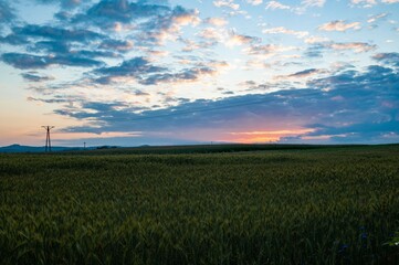 Fototapeta na wymiar Sunset over the fields