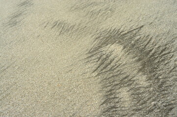 Sand beach summer texture tan beige background pattern