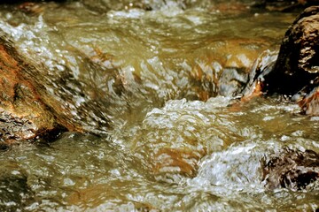 water