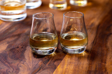 Scotch single malt or blended whisky tasting on distillery in Scotland, UK