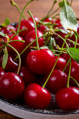 New harvest of red ripe juicy sour cherry or kriek berry