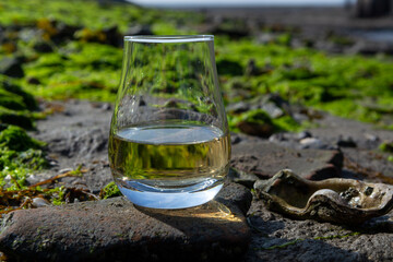 Tasting glass of Scotch whisky and sea shore during low tide, smoky whisky pairing with oysters