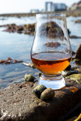 Tasting glass of Scotch whisky and sea shore during low tide, smoky whisky pairing with oysters