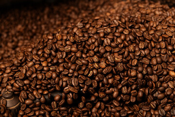 Fresh Roasted Natural Coffee Beans Cascading out of Industrial Coffee Bean Roaster Machine Inside the Coffee Shop