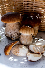 King of edible mushrooms, boletus edulis porcini cepe ready to cook in pasta or ravioli