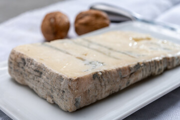 Italian food, buttery or firm blue cheese made from cow milk in Gorgonzola, Milan, Italy