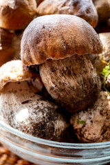 King of edible mushrooms, boletus edulis porcini cepe ready to cook in pasta or ravioli
