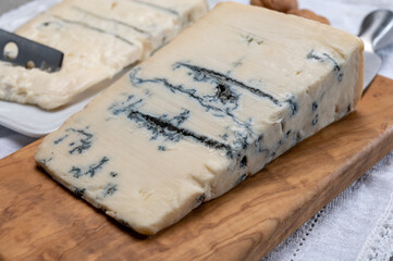 Italian food, buttery or firm blue cheese made from cow milk in Gorgonzola, Milan, Italy